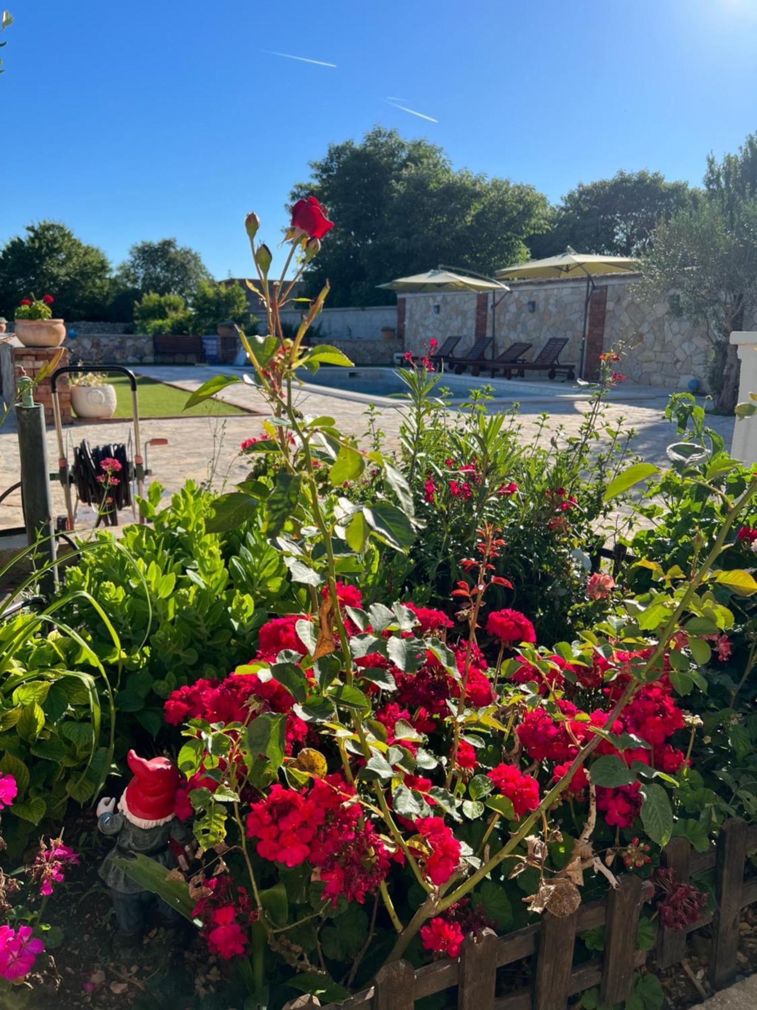 Sukošan Holiday Home Iva With Pool מראה חיצוני תמונה